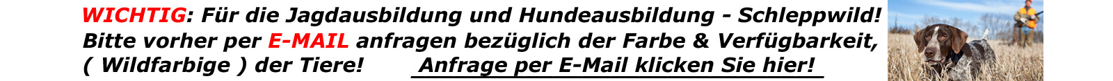 E-Mail Anfrage Schleppwild für die Jagdausbildung