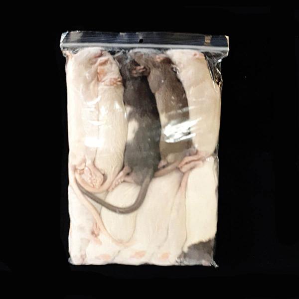 Futteratte ca. 120g bis 150g Futteratte ca. 120g bis 150g