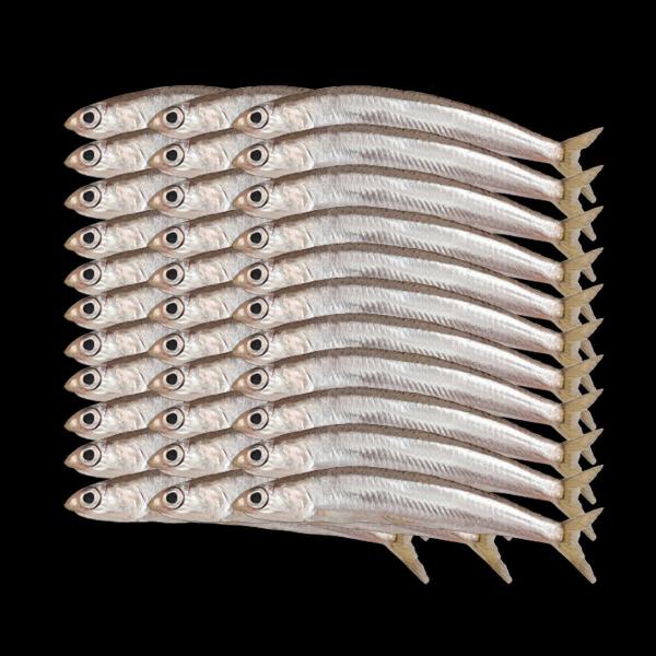 Stinte ca. 6 cm | 5,0 Kg | lose