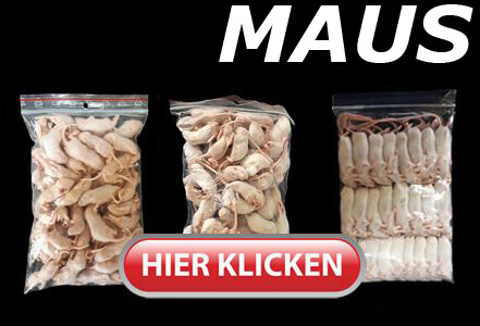 Mäuse 1g bis über 40g - Frostfutter für Reptilien & Schlangen