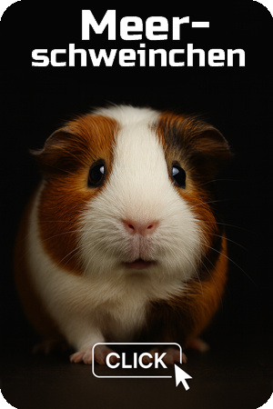 Frostmeerschweinchen – kräftiges Frostfutter für Schlangen und Reptilien