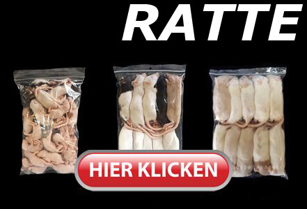 Ratten 4g bis über 450g - Frostfutter für Reptilien & Schlangen